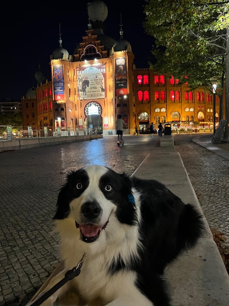 Cody at Campo Pequeno