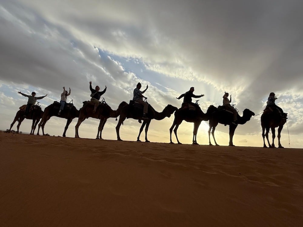 Camel Silhouettes
