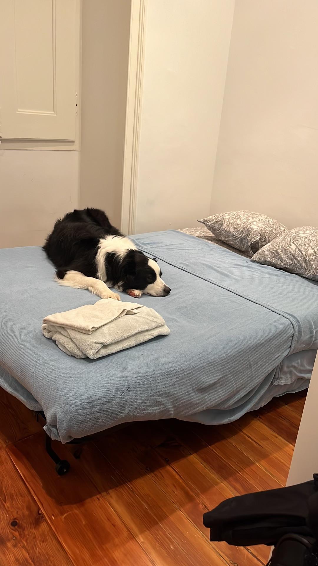 Ana Let's Me Sleep on the Bed