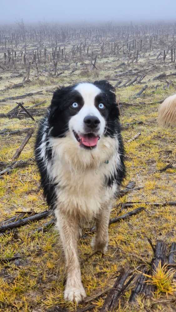 Meanwhile, Back in Portugal...