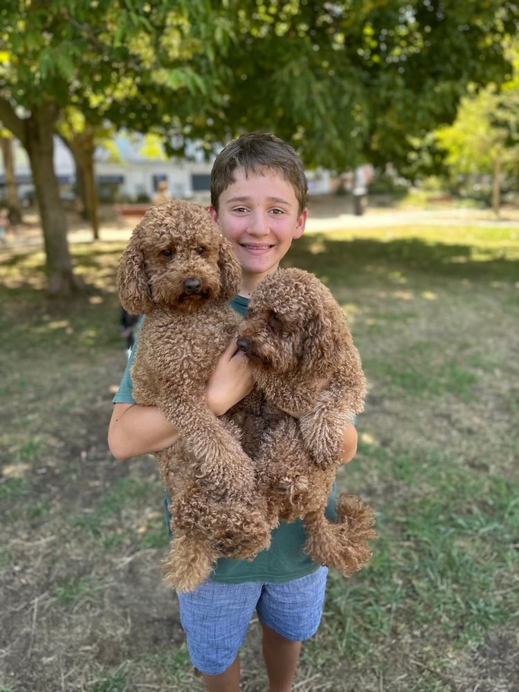 New Friends at the Dog Park