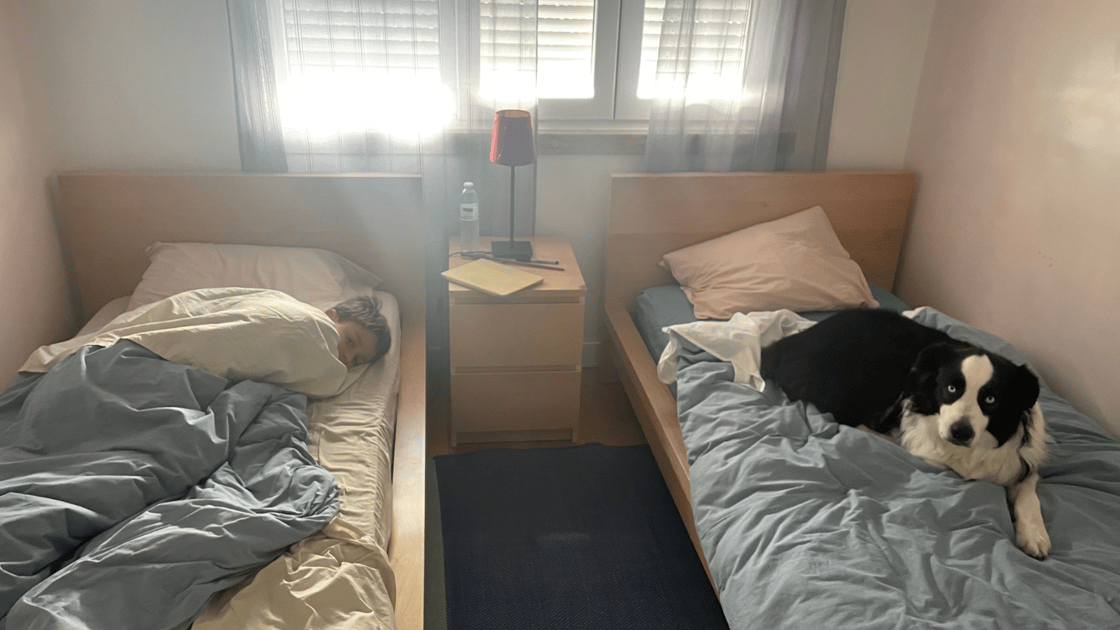 seb and cody on the bed