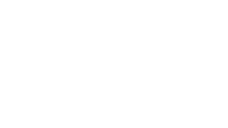 ChAlli Travel Blog Logo-1